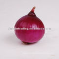 Small Onion